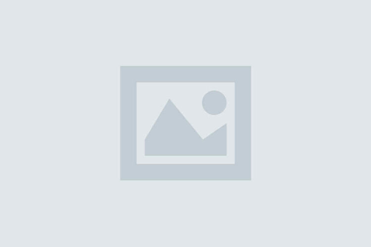 Lorem Ipsum                            